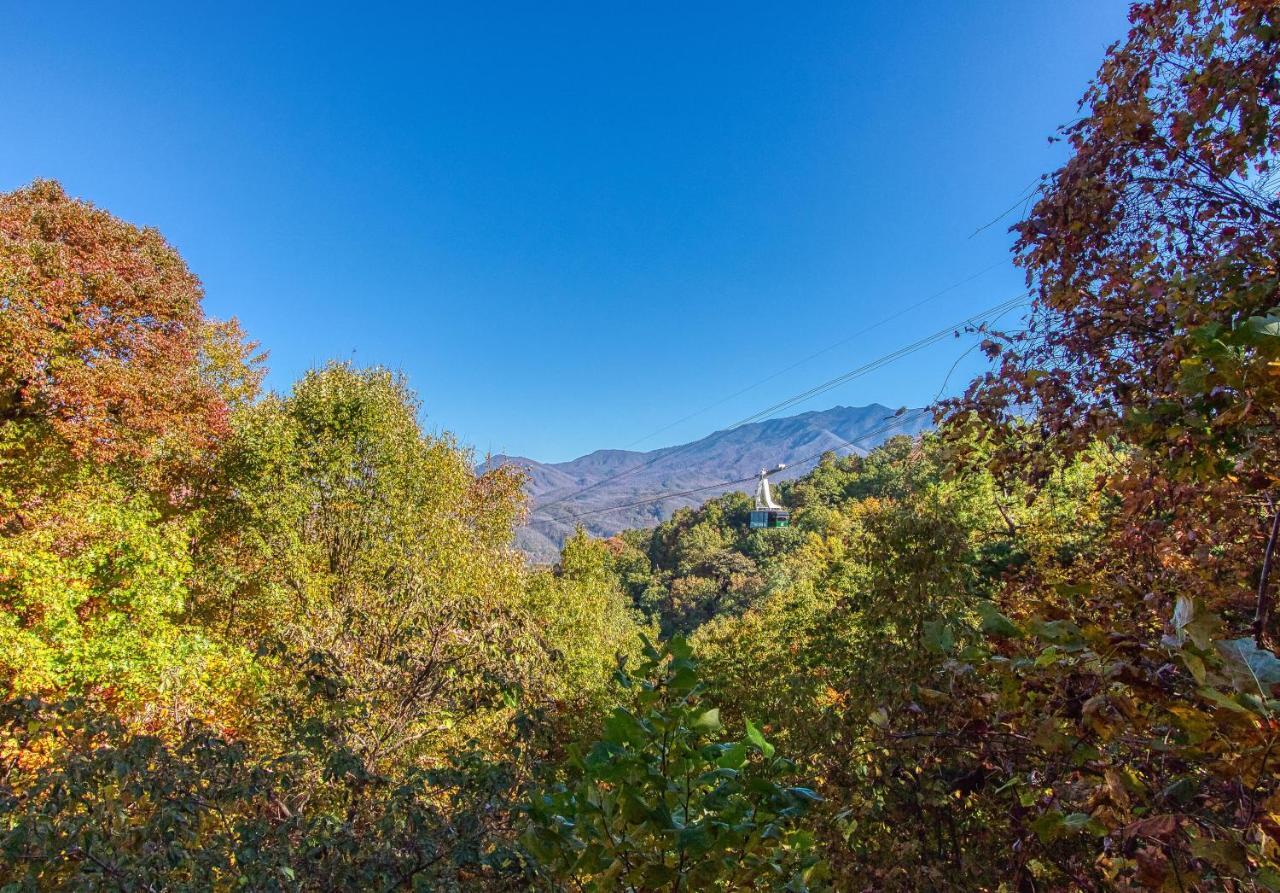 Daya, Hot Tub, Pool Table, 1089 Of Free Attraction Tickets For Each Paid Day, Dollywood And More! Gatlinburg Kültér fotó